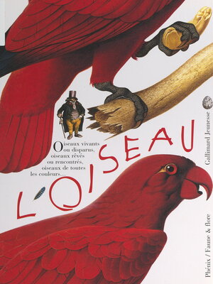 cover image of L'oiseau, vivant ou rêvé, peint ou sculpté, observé et identifié, à aimer et à protéger